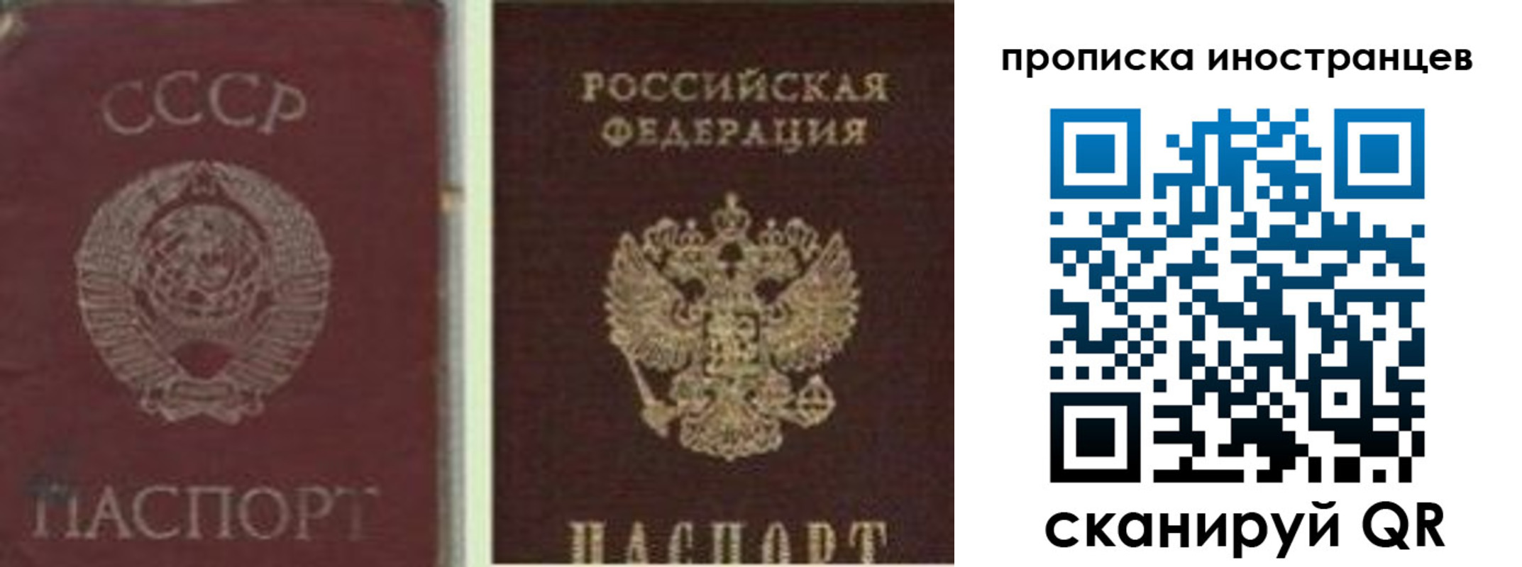 миграционный учет в Куртамыше
